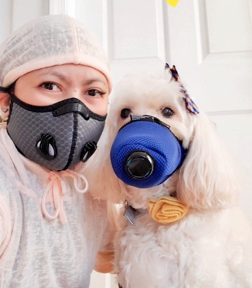 Photos - K9 MaskÂ® N95 Air Filter Mask for Dogs - Protect Dogs From Smoke, Dust, Ash, and Allergies